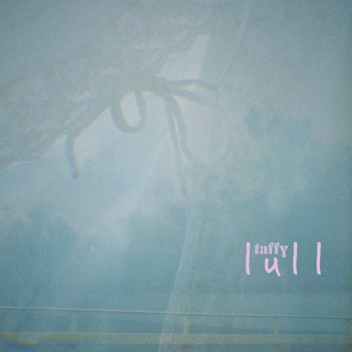Taffy lull - taffy,